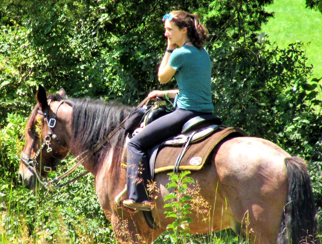 Horseback ride Gettysburg National Military Park where the… Flickr