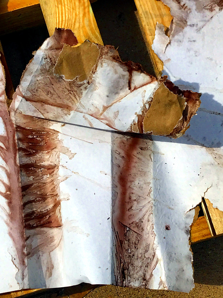 Mulch 4 Found paintings, watery chippedwood mulch leaked … Flickr