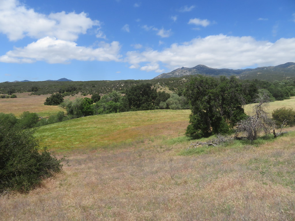 View across the valley of Canada Verde Creek John T Flickr
