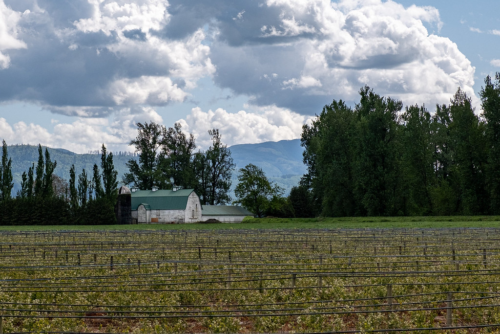 Farms of the Fraser Valley, BC Garry Johns Flickr