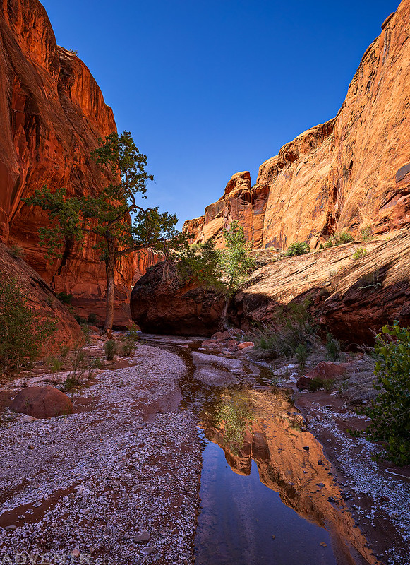 Canyons of the Escalante Silver Falls Creek // ADVENTR.co