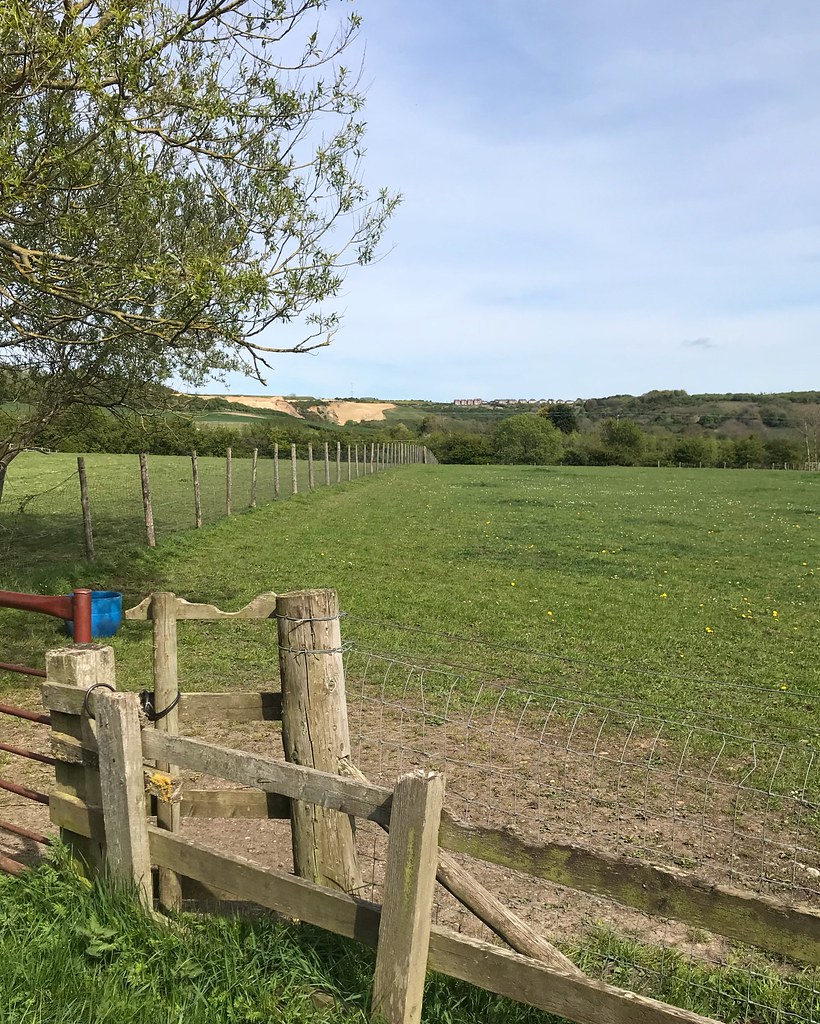 Old Quarrington Looking towards Quarrington Hill Dave ster Flickr