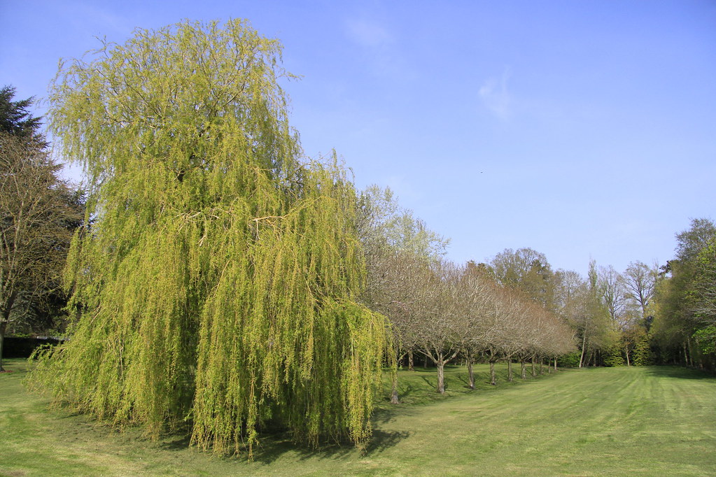 Dunchurch Park Hotel, Gardens Dunchurch Park Hotel, Garden… Flickr