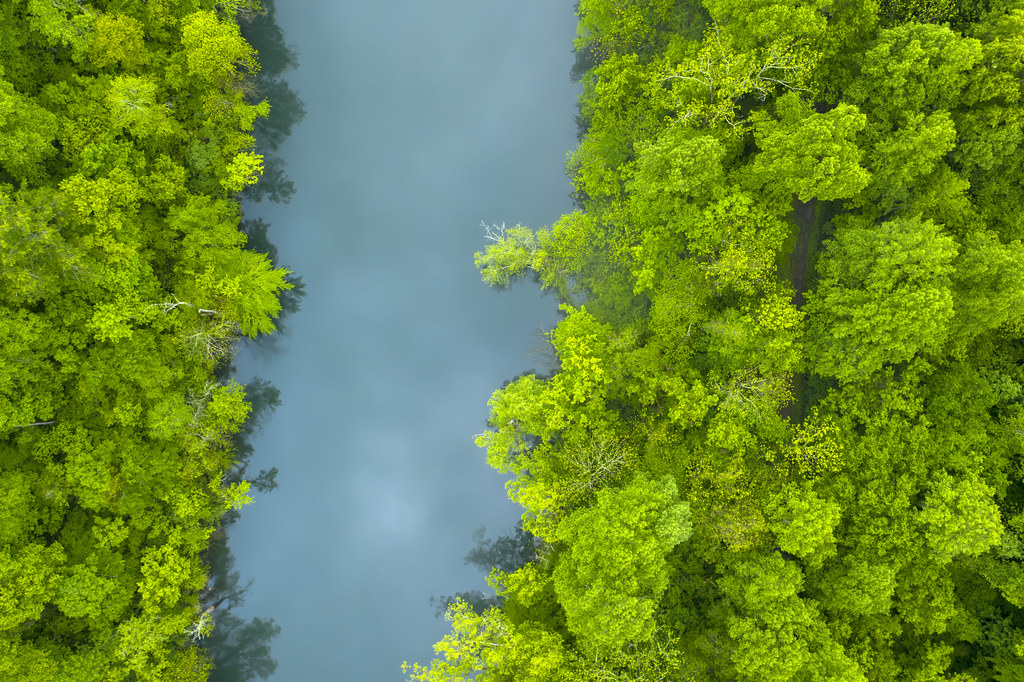 Obey River, Donaldson Park, Clay County, Tennessee 2 a photo on