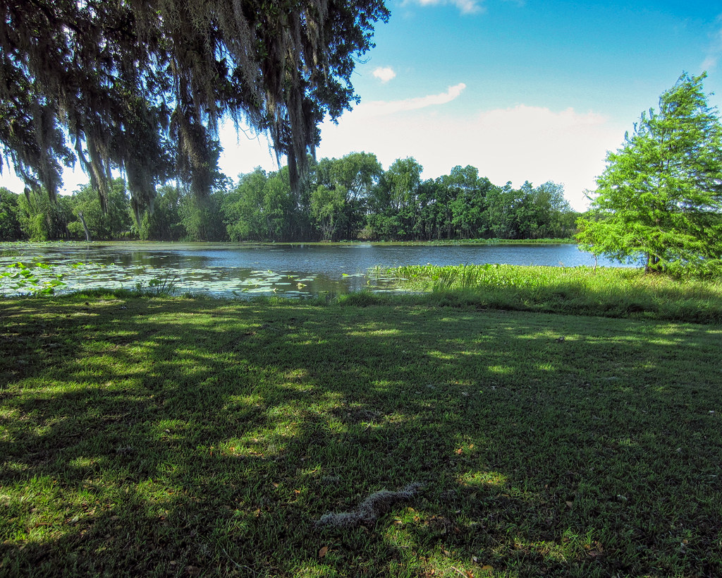 Elm Lake Ambiance Early morning birding at Brazos Bend St… Flickr