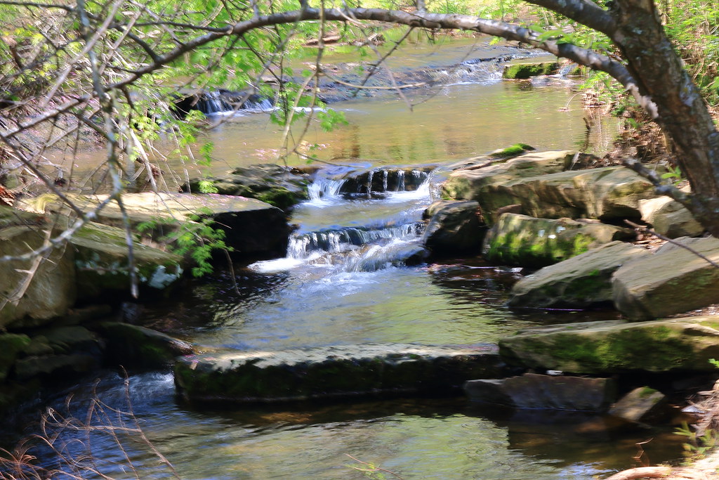 Niokaska Creek in Gulley Park Fayetteville, Arkansas Flickr