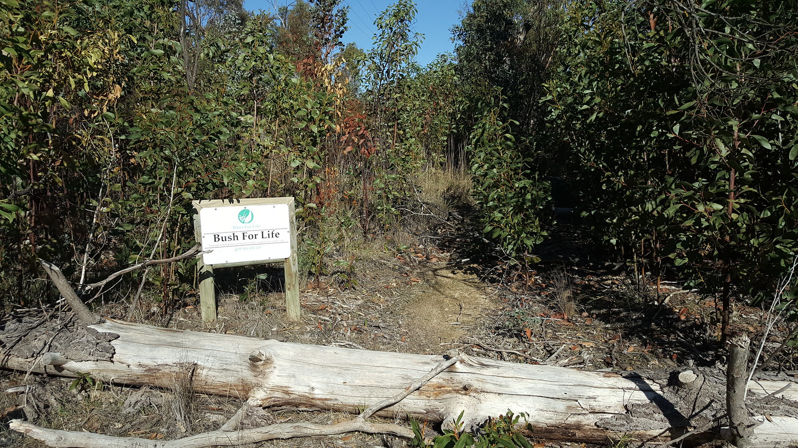 AC019 SmithStone Quarry Roads Flickr