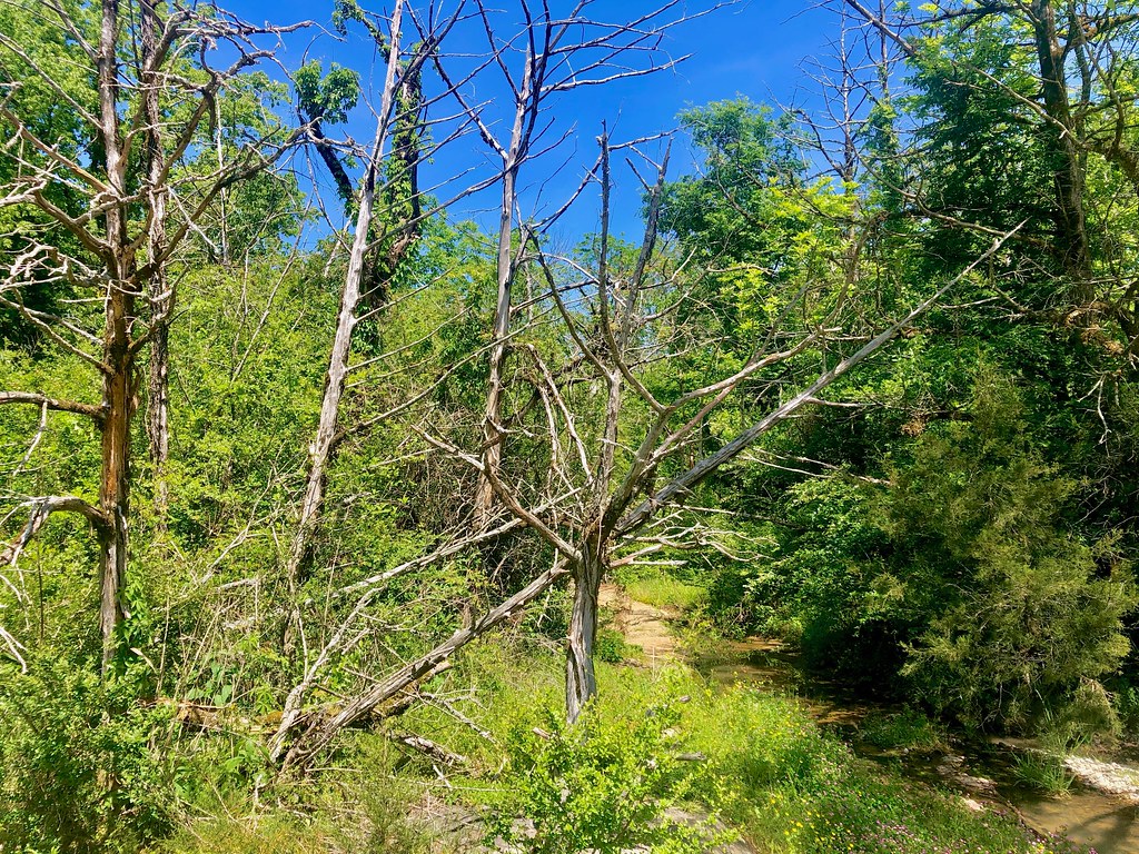 Shoal Creek Park, Montevallo, Alabama Andy Montgomery Flickr