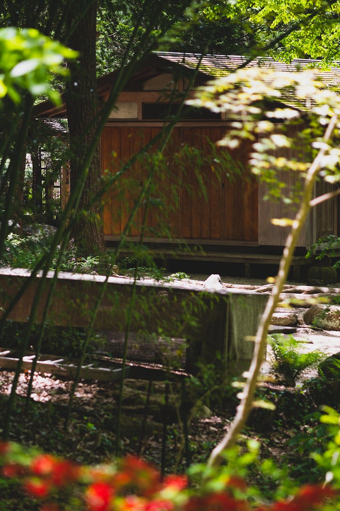 2020516 Japanese Stroll Garden and Upper Francis Pond Flickr