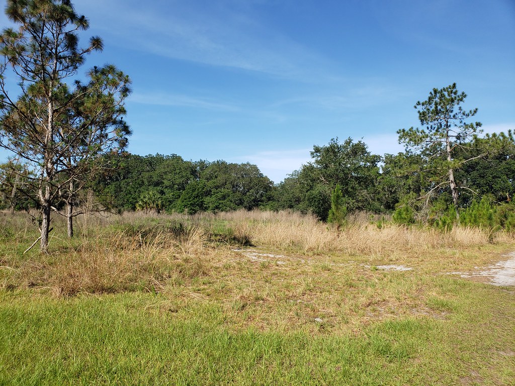 Triple Creek Nature Preserve Decided to get up early today… Flickr