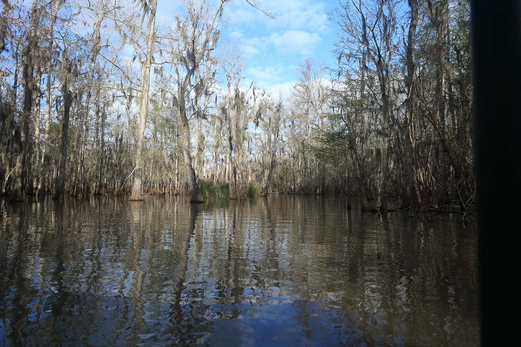 Louisiana Bayou Old Pearl River Louisiana, USA James McKenzie Flickr