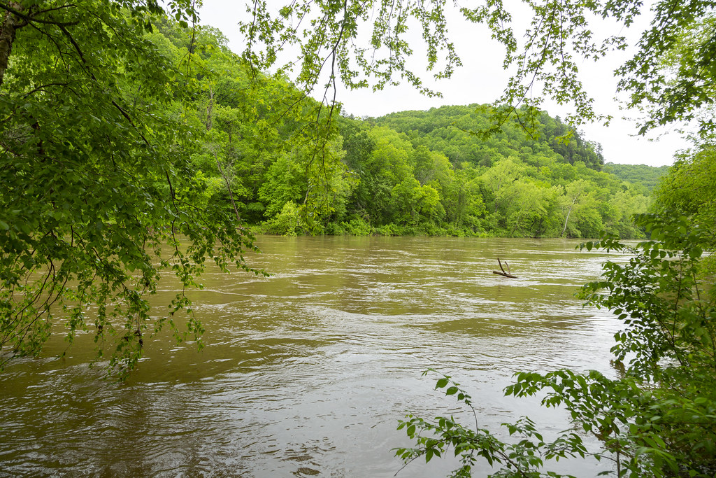 Spring Creek Ozarks Missouri The Ozarks, also known as… Flickr