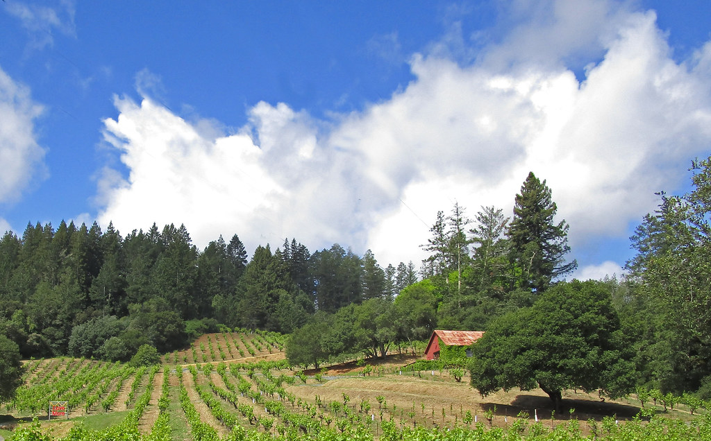 Dry Creek Valley, Sonoma, CA JJG53 Flickr