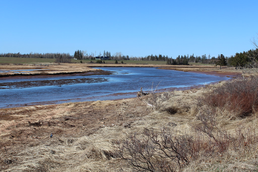 Elevation of Point Prim Rd, Belfast, PE C0A 1A0, Canada Topographic