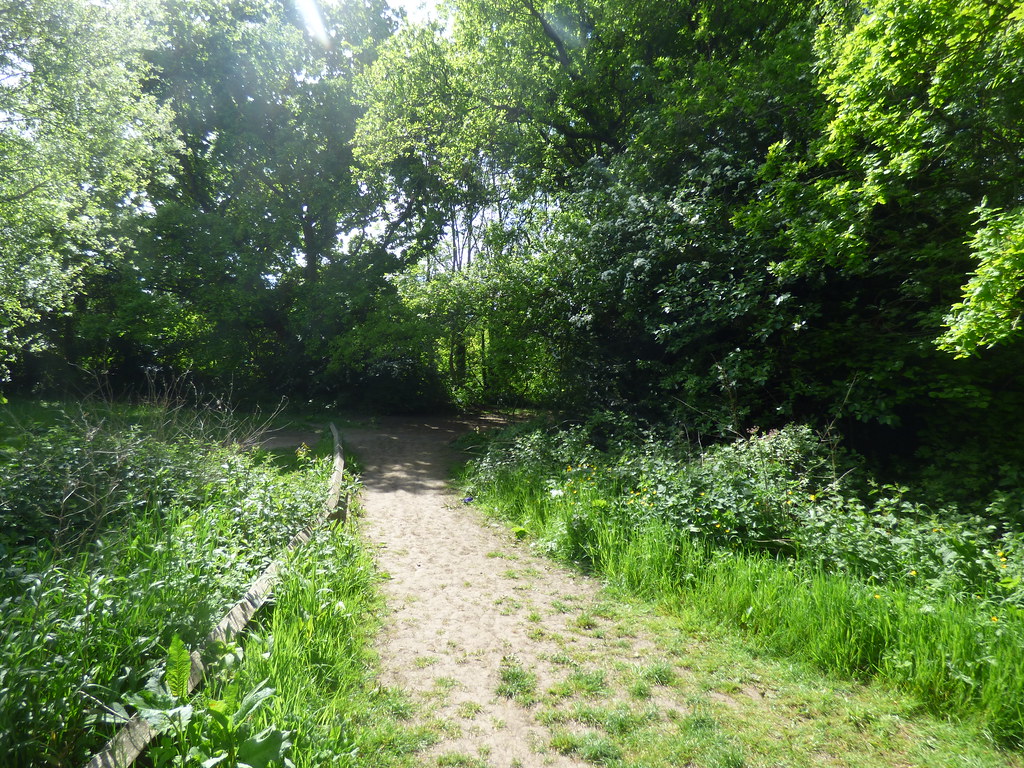 Holders Lane Woods grass path a photo on Flickriver