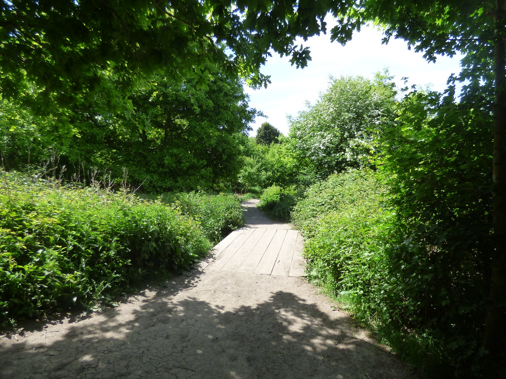 Holders Lane Woods a photo on Flickriver