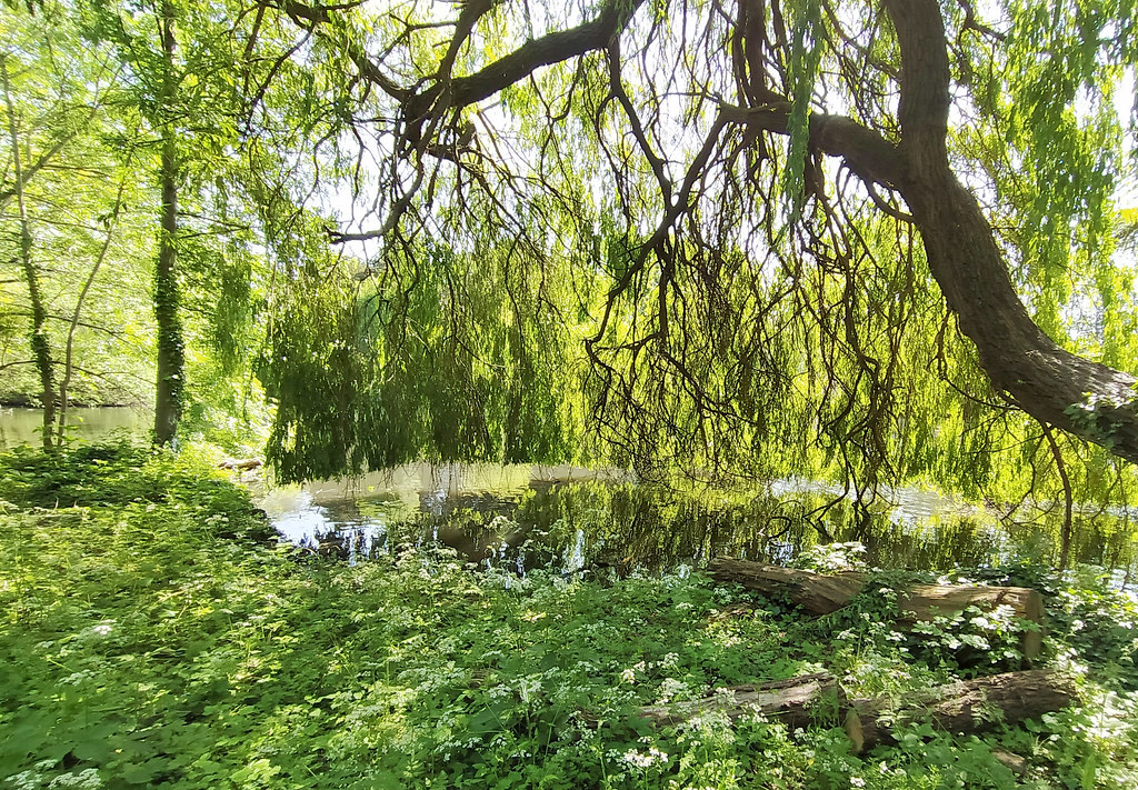 Boston Manor Park A great example of a lovely park with lo… Flickr