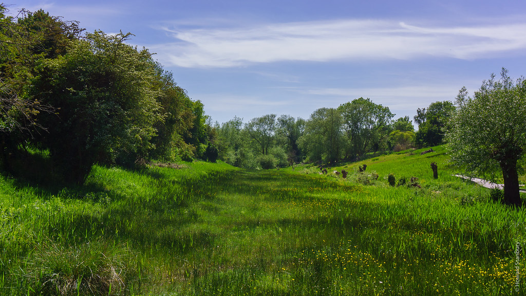 Lye Valley, Oxford From the Friends of Lye Valley website… Flickr