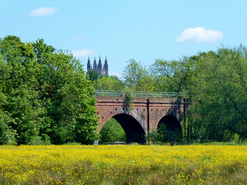 Hambrook Marshes Kent Explorer Flickr