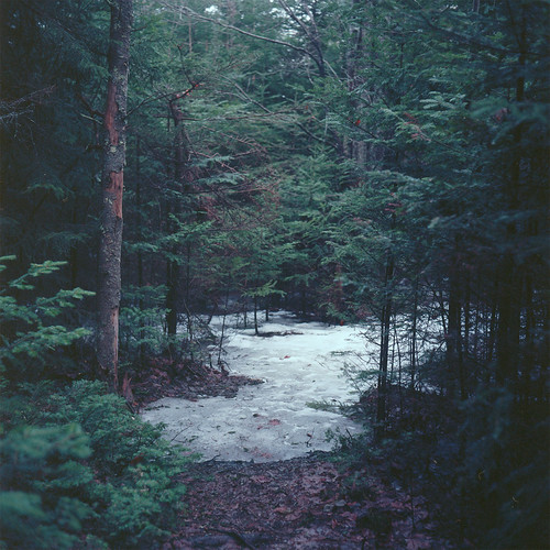 img060c End of winter at Pleasant Point Preserve, Cushing … Flickr