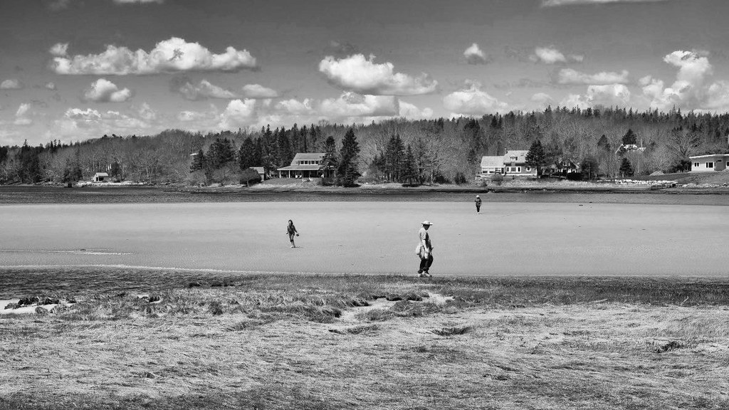 More than two metres A view of Petite Rivière, Nova Scotia… Flickr
