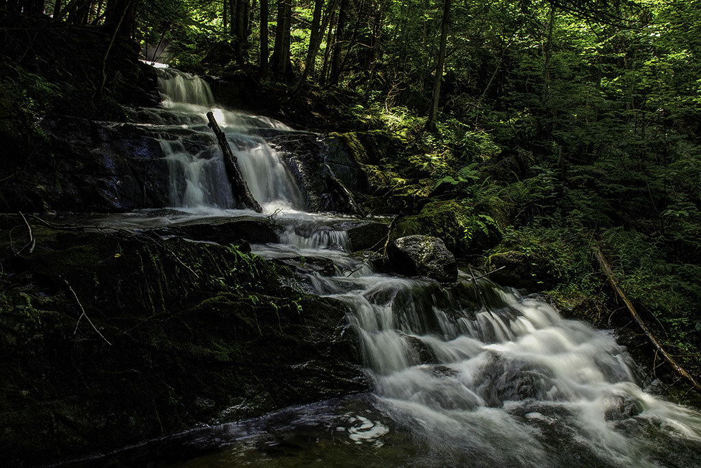 Marshfield Vt Mollys Falls 20080805027sm Alan Atwood Flickr