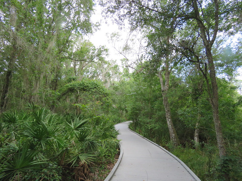 Brooker Creek Preserve The Electronic Nomad