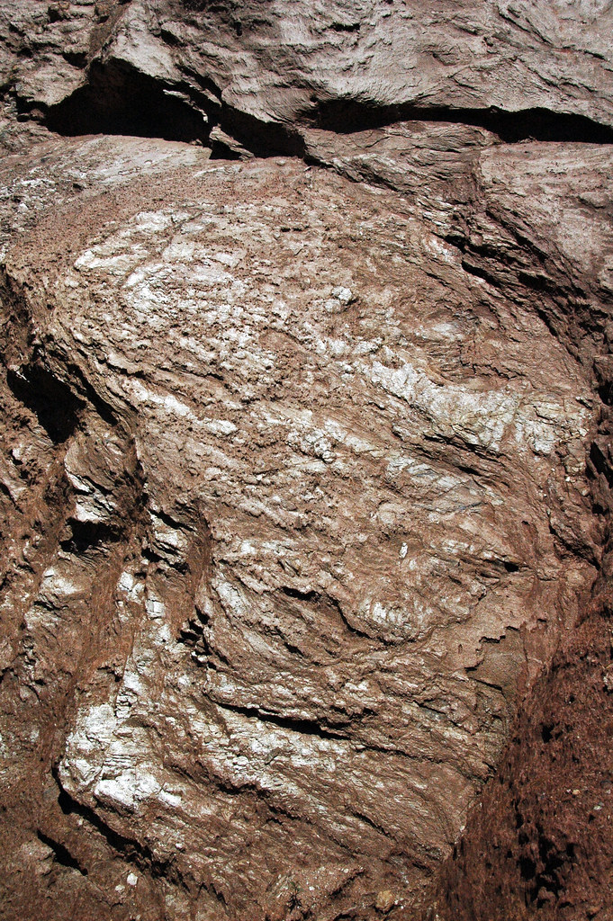 Saprolite (Pine Ridge West quarry, Surry County, North Car… Flickr