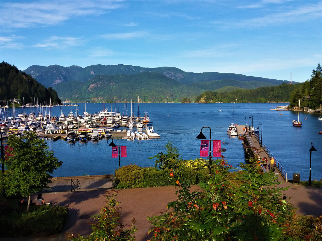 Deep Cove Rental Home at Kris Long blog