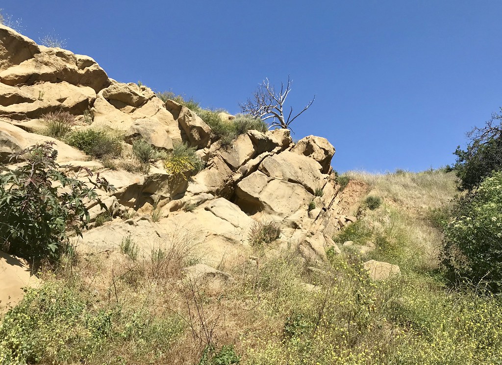 Rooster Rock, Irvine Regional Park Some more photos of bed… Flickr