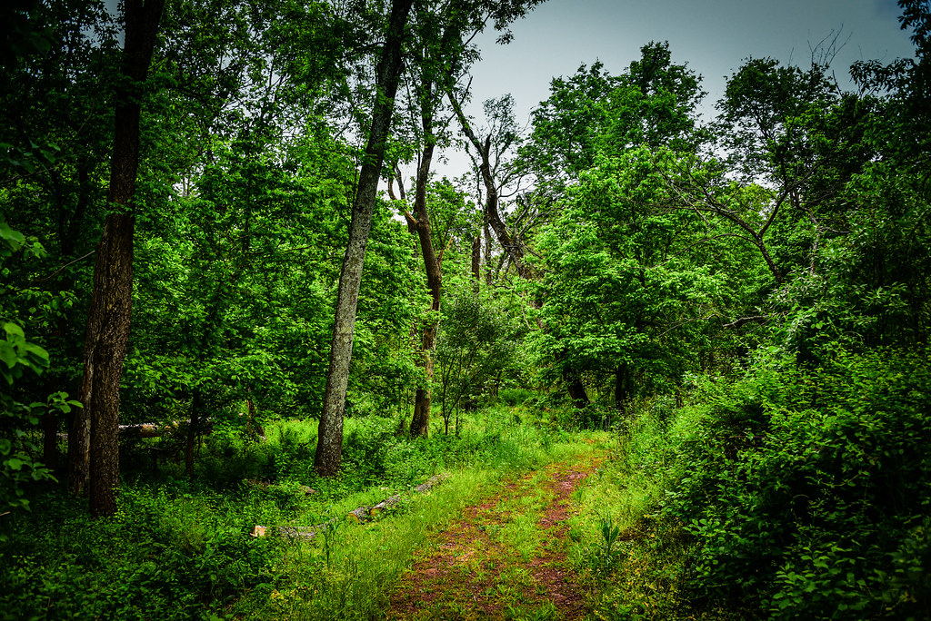 Kincora Nature Trail Ashburn VA Kincora Nature Trail A… Flickr