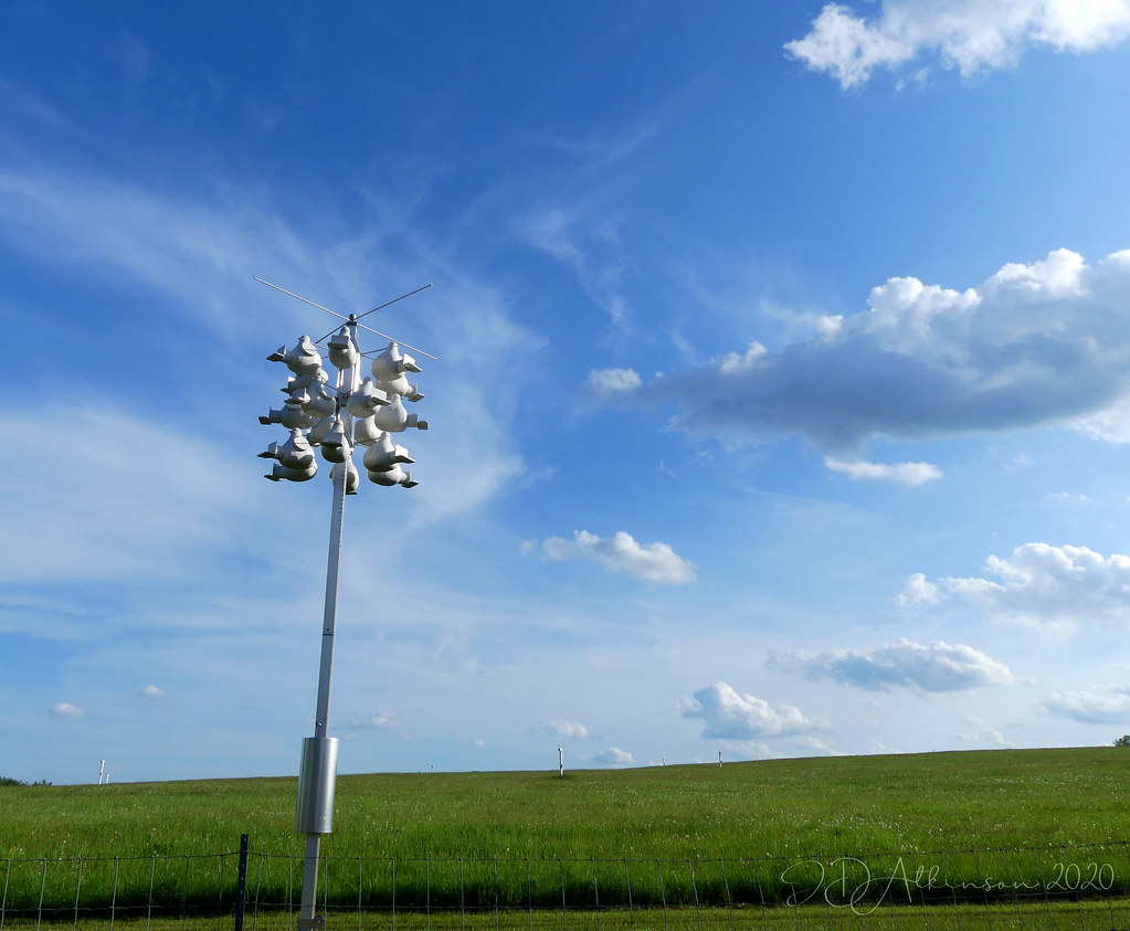 Bobolink House Byers Woods, Ashland County, OH Jamie D. Atkinson