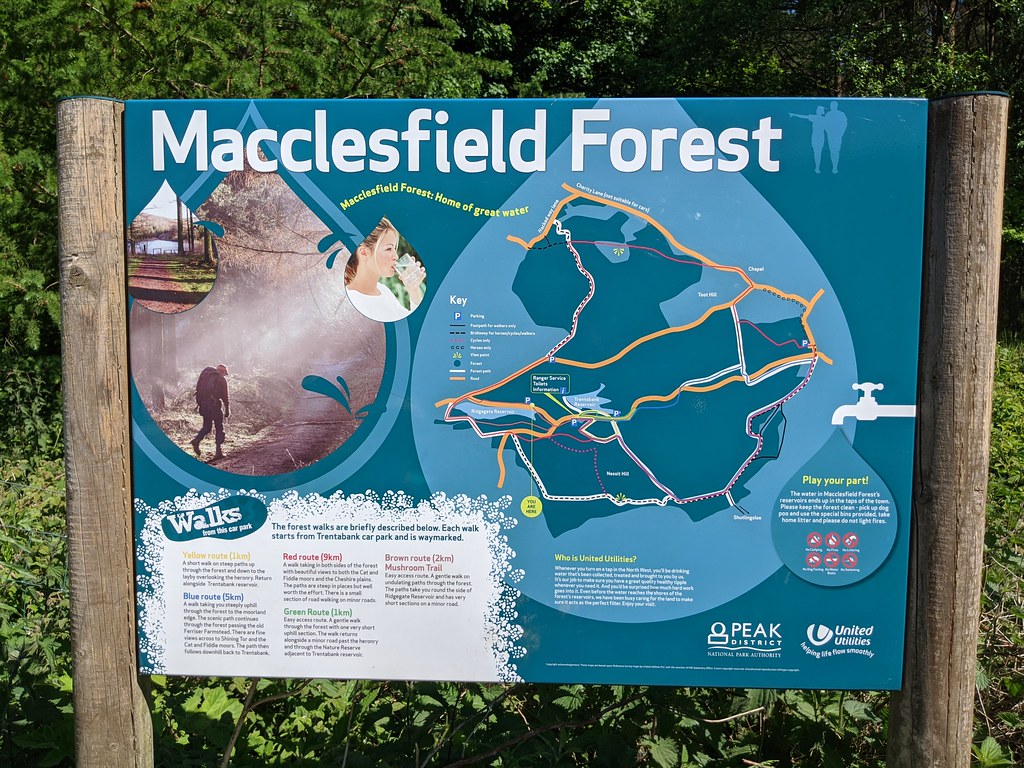 Macclesfield forest walks Dunk 🐝 Flickr