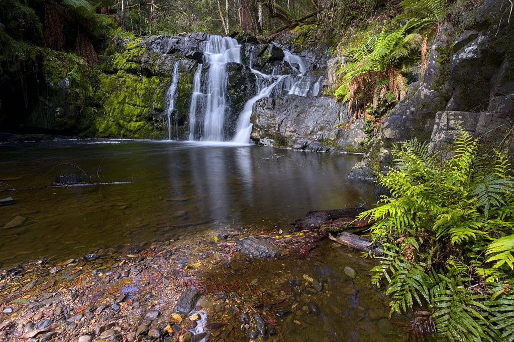 Lilydale Falls Tasmania DanteAC Flickr