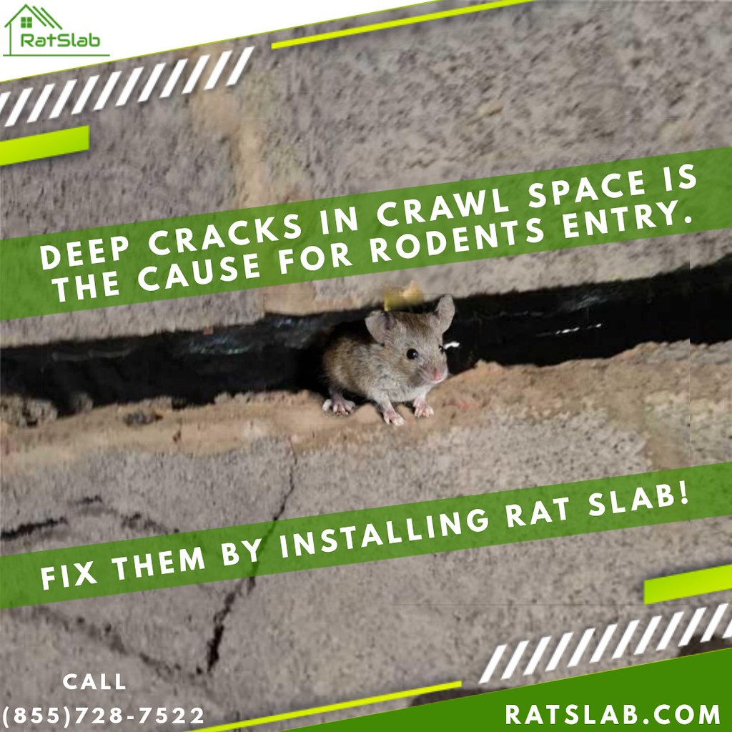Rat Slab Crawl Space RatSlab specializes in offering Crawl… Flickr