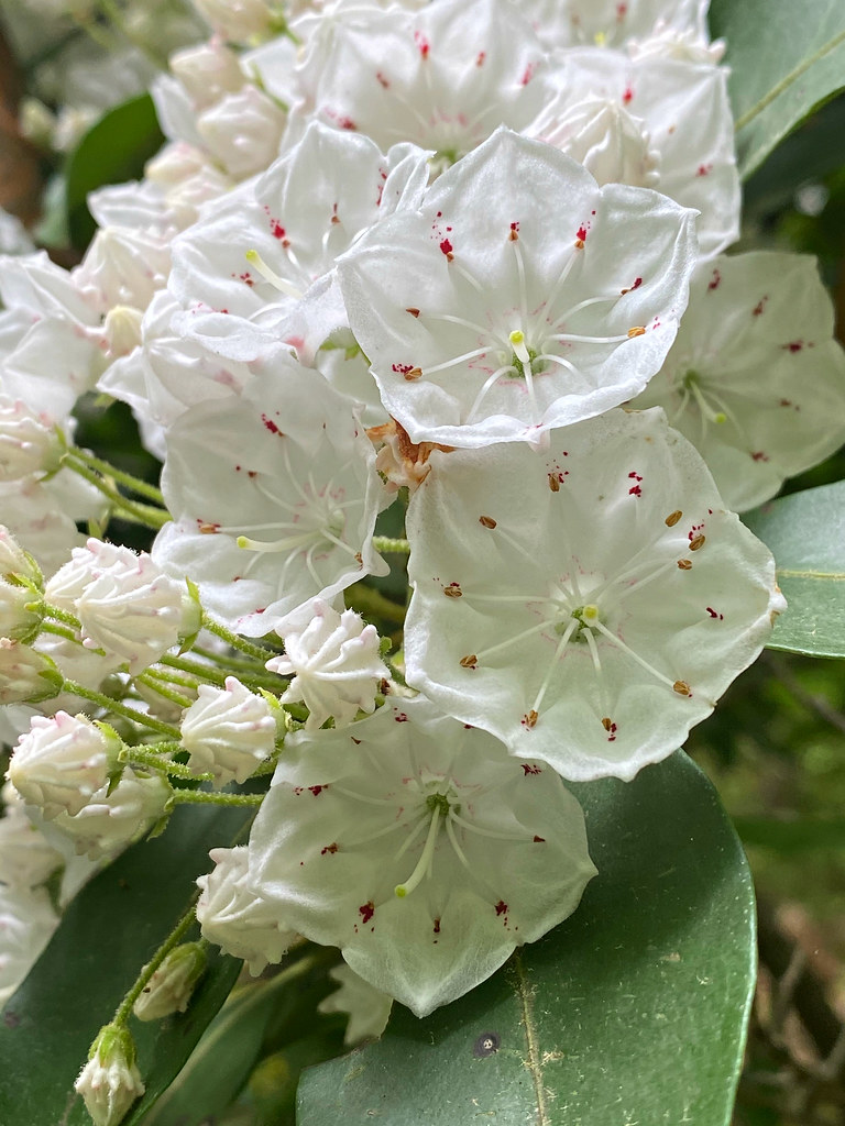 Blockhouse Point Conservation Park and Trails Blockhouse P… Flickr