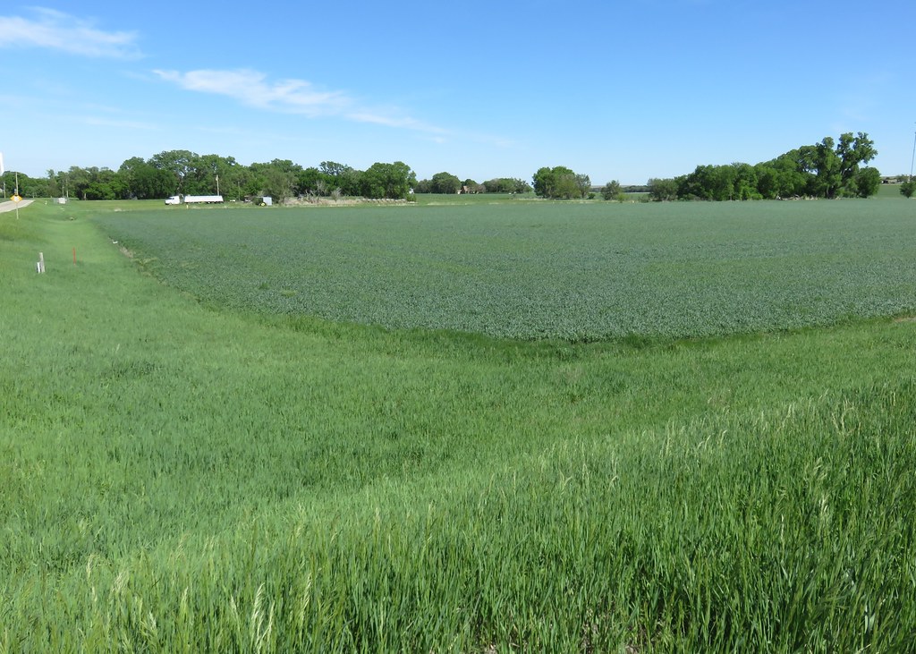 Northern Central Kansas Landscape (Barnard, Kansas) Flickr