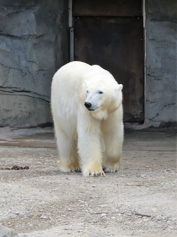 Samstag, 04.07.20 Zoo Hannover extratourbus