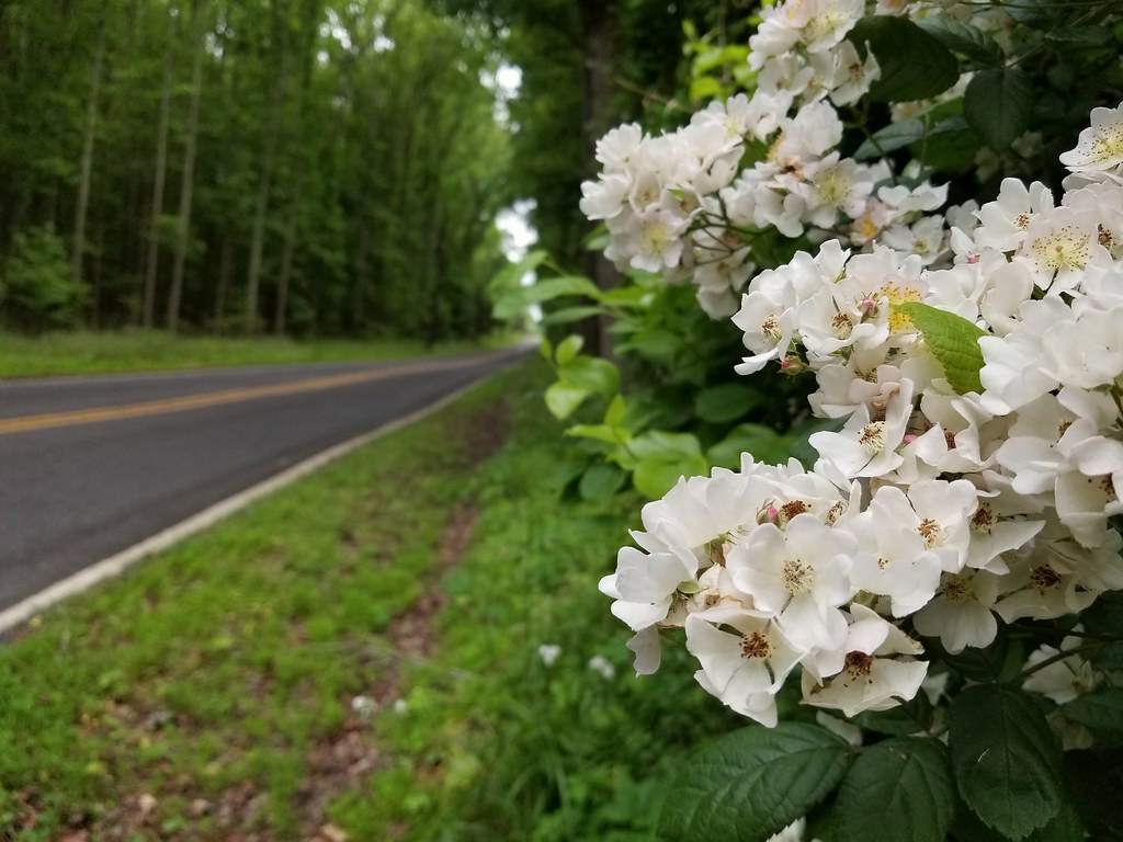 Bryans Road, Maryland Bryans Road, Maryland Flickr