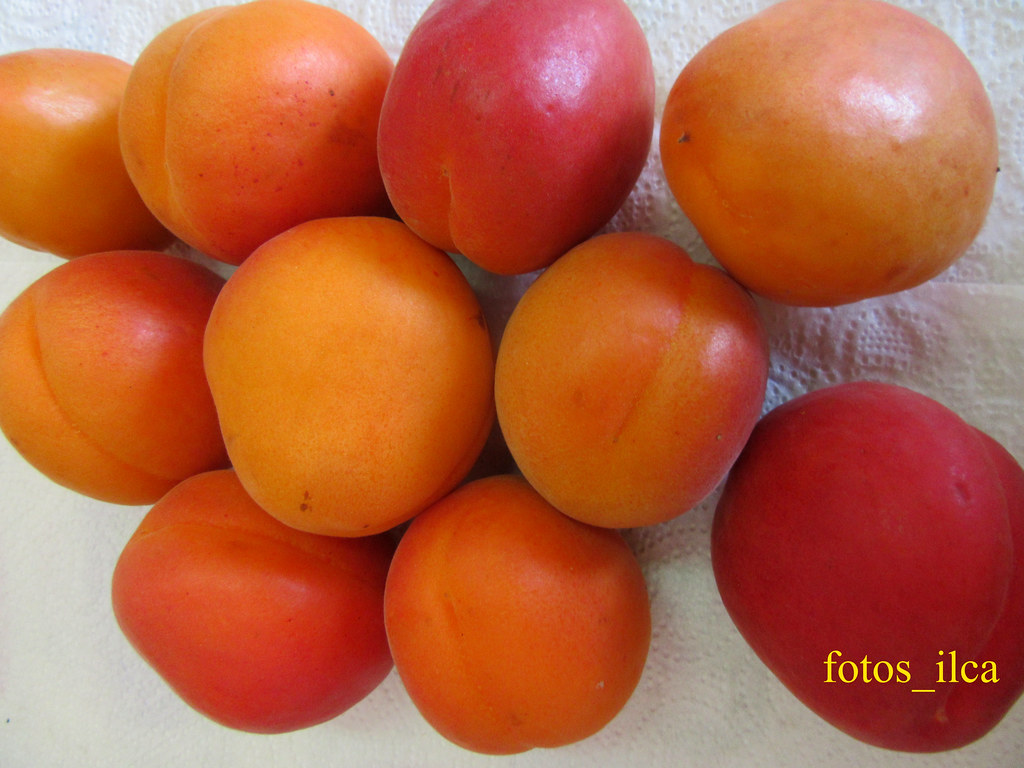 Fruta Portuguesa Fruta de Portugal Alperces Inácio Alves Flickr
