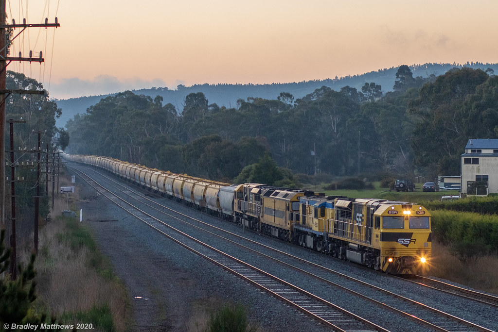 SSR 'Weston' Grain at Wandong on 29/5/2020. SSR1024532G5… Flickr