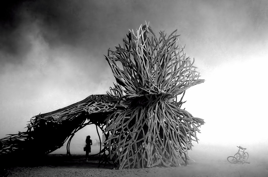 Shelter from the Storm Andrew Wyatt Flickr