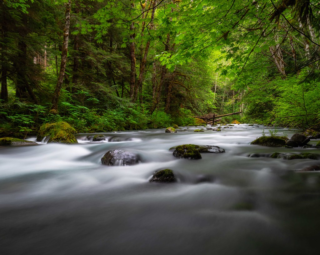 Morning on the Big Quil A favorite spot along the Big Quil… Flickr