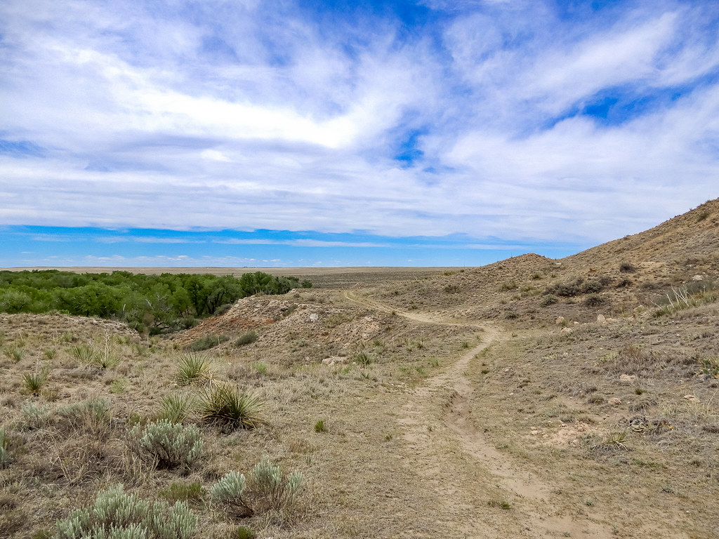 Cimarron National Grasslands Morton County, KS Dblackwood Flickr