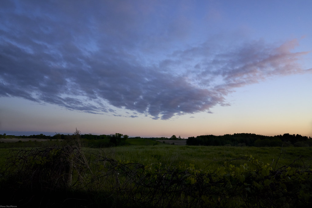 Blue Sky Sunset Diana MacPherson Flickr