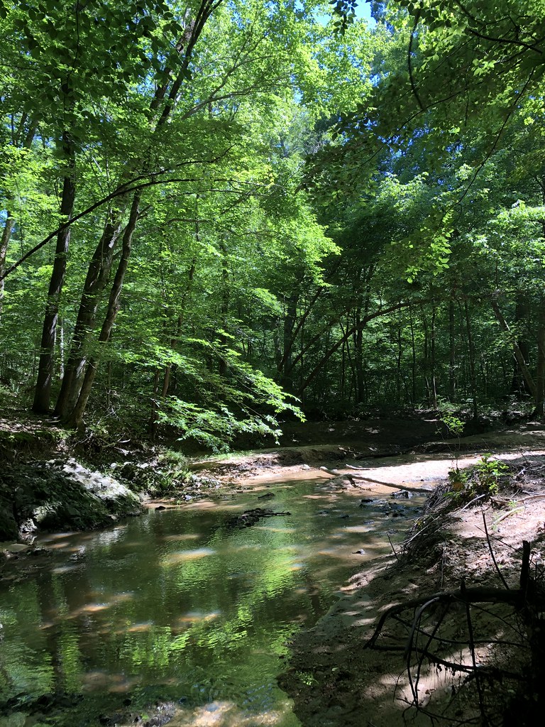 Mountains to Sea Trail, Raleigh, NC chucka_nc Flickr