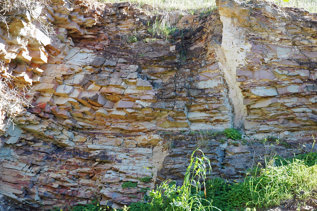 Heatherdale Shale (Lower Cambrian; Old Sellicks Hill Road,… Flickr