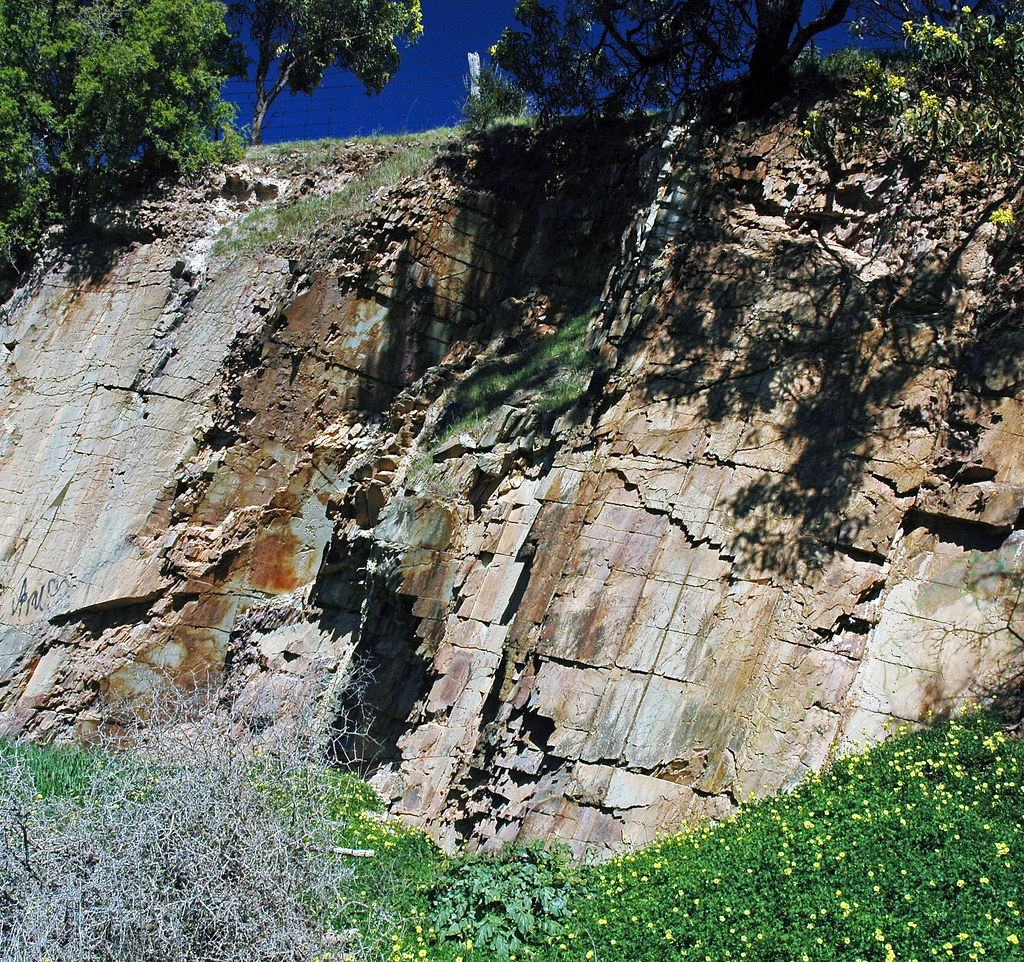Heatherdale Shale (Lower Cambrian; Old Sellicks Hill Road, Fleurieu