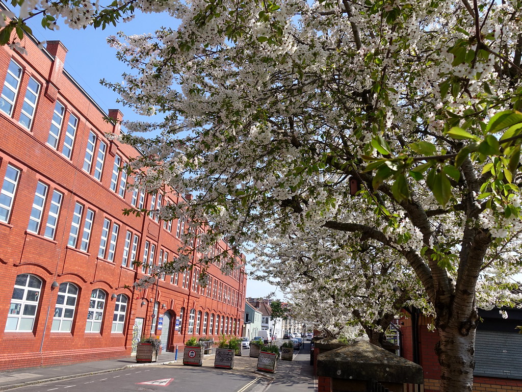 Upton Road in Southville, Bristol Paul Chibeba Flickr