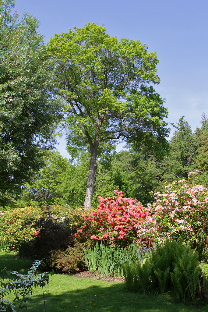 Secret Garden How HillIMG_010220May20 norfolkjohn Flickr